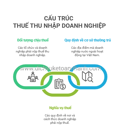 cau-truc-thue-tndn.png (34 KB)